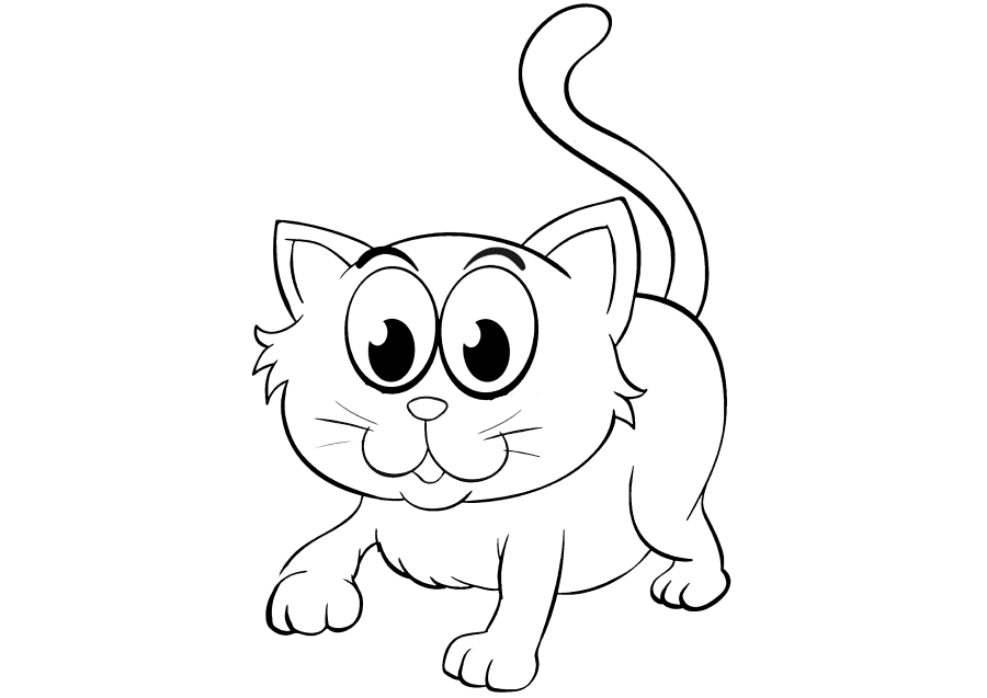 Котик с большими глазками